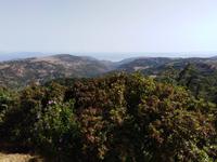 21.07.2018 Sizilien &ndash; &copy; Jutta Petzold-Herrmann (Eberhardt TRAVEL)