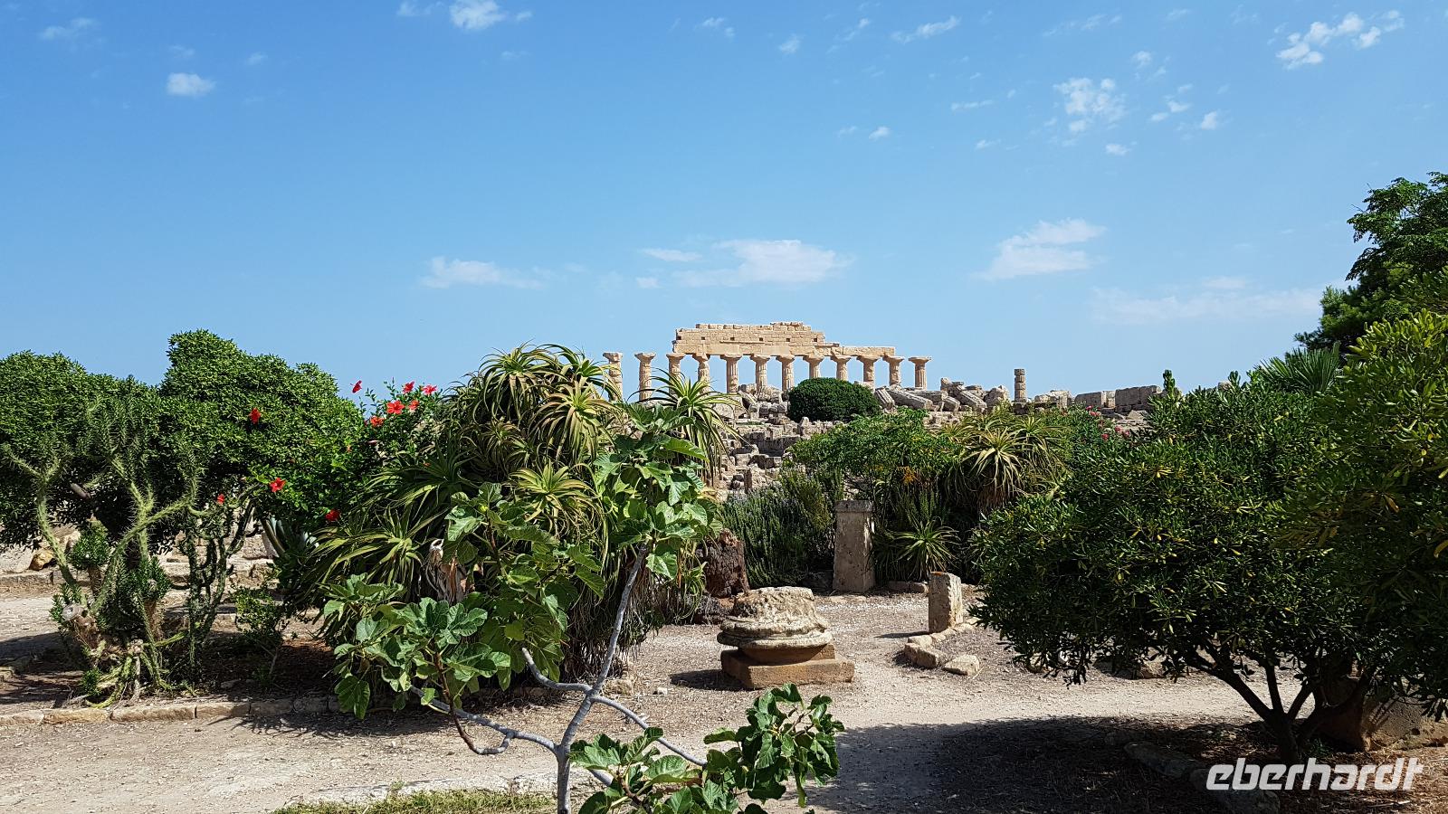 Selinunte 20180905 105958 &ndash; &copy; Marlies Thrum (Eberhardt TRAVEL)