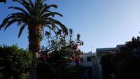 Atahotel Giardini Naxos 20180904 074716 &ndash; &copy; Marlies Thrum (Eberhardt TRAVEL)