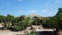 Selinunte 20180905 105958 &ndash; &copy; Marlies Thrum (Eberhardt TRAVEL)