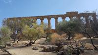 Tal der Tempel Agrigent 20180904 155008 &ndash; &copy; Marlies Thrum (Eberhardt TRAVEL)