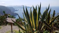 Lipari 20180907 120508 &ndash; &copy; Marlies Thrum (Eberhardt TRAVEL)