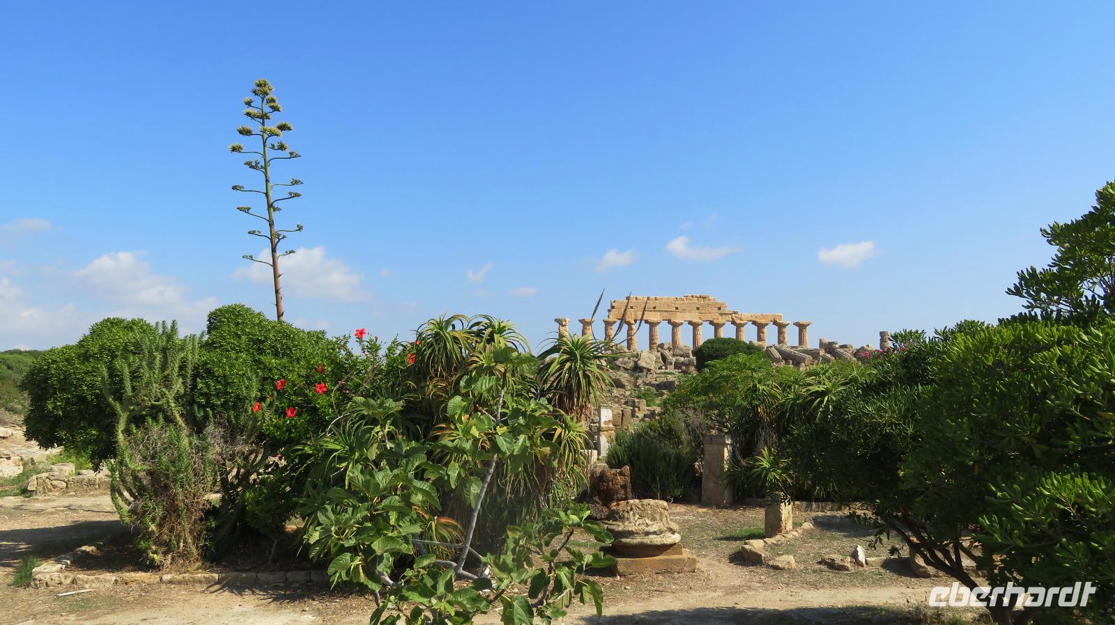 Selinunte &ndash; &copy; Petra Sauer (Eberhardt TRAVEL)