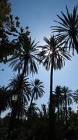 Stadtpark &ndash; &copy; Petra Sauer (Eberhardt TRAVEL)