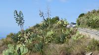 Lipari &ndash; &copy; Petra Sauer (Eberhardt TRAVEL)