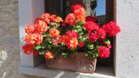 Montalbano Elicona &ndash; &copy; Petra Sauer (Eberhardt TRAVEL)