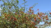 Natur &ndash; &copy; Petra Sauer (Eberhardt TRAVEL)