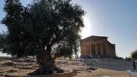 Concordia Tempel