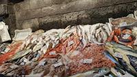 Fischmarkt  Catania