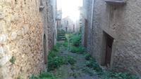 Vegetation setzt sich auch in Montalbano durch &ndash; &copy; Justin Kotecki (Eberhardt TRAVEL)