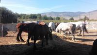 Rundgang über das Gelände des Agriculture &ndash; &copy; Justin Kotecki (Eberhardt TRAVEL)
