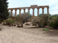 Sizilien Sept. 2012 073 &ndash; &copy; Barbara Werrmann (Eberhardt TRAVEL)
