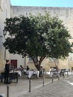 Lecce &ndash; &copy; Anne-Katrin Müller (Eberhardt TRAVEL)