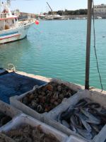 Trani - Fischmarkt &ndash; &copy; Anne-Katrin Müller (Eberhardt TRAVEL)