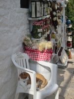 Alberobello &ndash; &copy; Heike Heinen (Eberhardt TRAVEL)