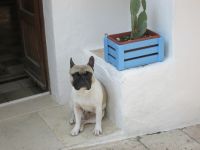 ...hier wache ich &ndash; &copy; Heike Heinen (Eberhardt TRAVEL)