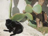 Ostuni &ndash; &copy; Heike Heinen (Eberhardt TRAVEL)