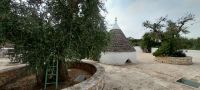 Frantoio Apulien Olivenbaum Trullo Verkostung @Anette Rietz September 2023 &ndash; &copy; Anette Rietz (Eberhardt TRAVEL)