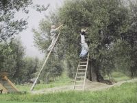 ... &ndash; &copy; Anne-Katrin Müller (Eberhardt TRAVEL)