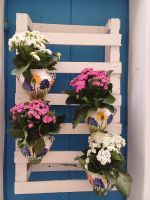 Blumenpracht &ndash; &copy; Annette Profft (Eberhardt TRAVEL)