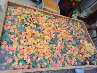 Orecchiette &ndash; &copy; Annette Profft (Eberhardt TRAVEL)