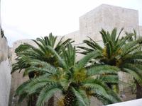 18.04.2014 Trani &ndash; &copy; Jutta Petzold-Herrmann (Eberhardt TRAVEL)