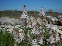DSCN4964 &ndash; &copy; Kerstin Heintzel (Eberhardt TRAVEL)