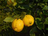 DSCN5040 &ndash; &copy; Kerstin Heintzel (Eberhardt TRAVEL)