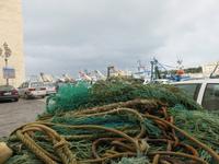 Im Hafen von Trani &ndash; &copy; Marion Kottlos (Eberhardt TRAVEL)