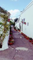 Rundgang in Alberobello &ndash; &copy; Maxi Goldbach (Eberhardt TRAVEL)