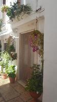 Spaziergang in Cisternino &ndash; &copy; Maxi Goldbach (Eberhardt TRAVEL)