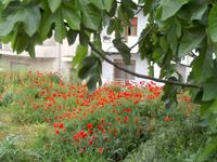 Otranto &ndash; &copy; Claudia Hartwich (Eberhardt TRAVEL)