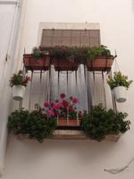 hübsche Blumen zieren die Balkone in Locorotondo &ndash; &copy; Kerstin Heintzel (Eberhardt TRAVEL)