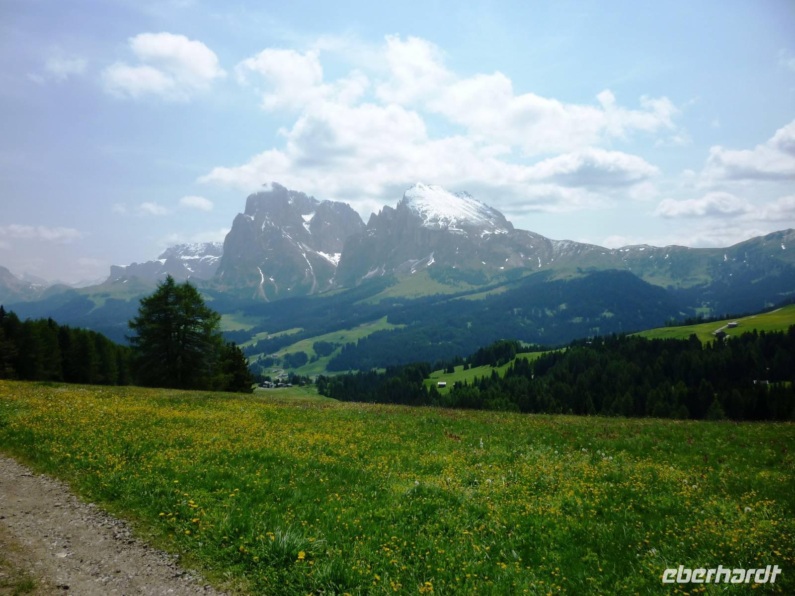 Seiser Alm, Langkofel und Plattkofel, 27.06.2013 &ndash; &copy; Jutta Petzold-Herrmann (Eberhardt TRAVEL)