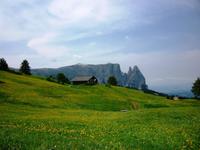 Seiser Alm, 27.06.2013 &ndash; &copy; Jutta Petzold-Herrmann (Eberhardt TRAVEL)