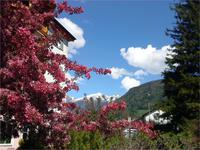 Sterzing &ndash; &copy; Claudia Bernhardt (Eberhardt TRAVEL)