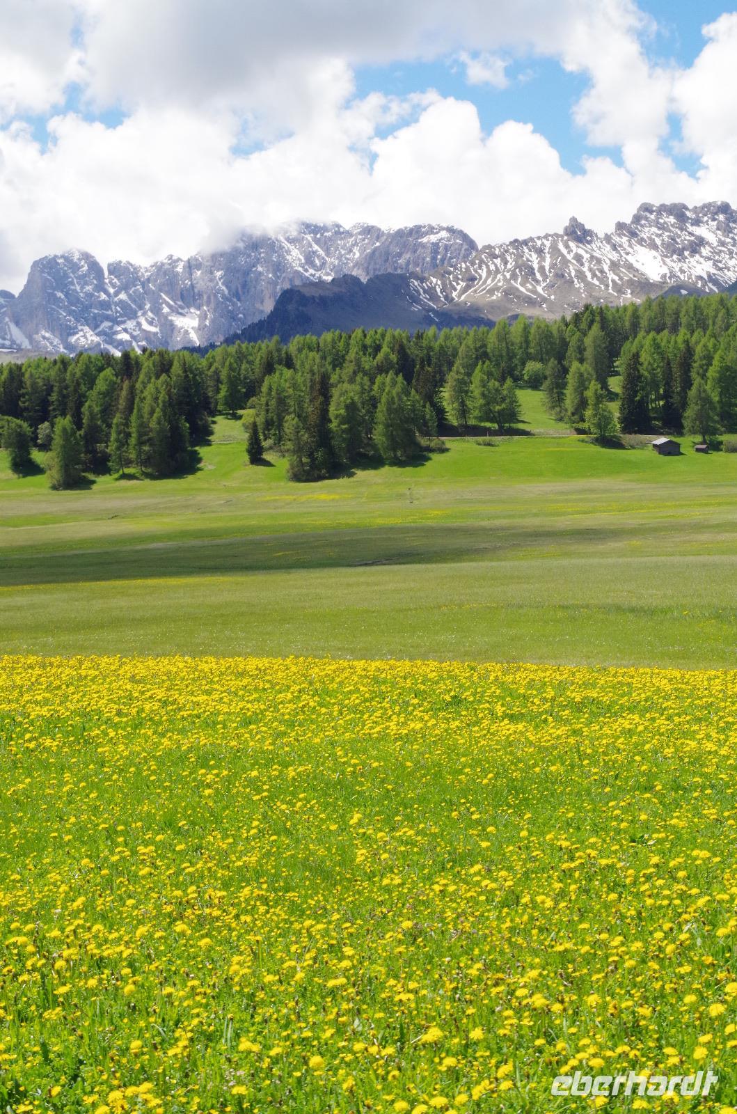 Seiser Alm (6) &ndash; &copy; Cathleen Schaper (Eberhardt TRAVEL)