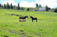 Seiser Alm (21) &ndash; &copy; Cathleen Schaper (Eberhardt TRAVEL)