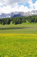Seiser Alm (6) &ndash; &copy; Cathleen Schaper (Eberhardt TRAVEL)