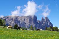 Seiser Alm (12) &ndash; &copy; Cathleen Schaper (Eberhardt TRAVEL)