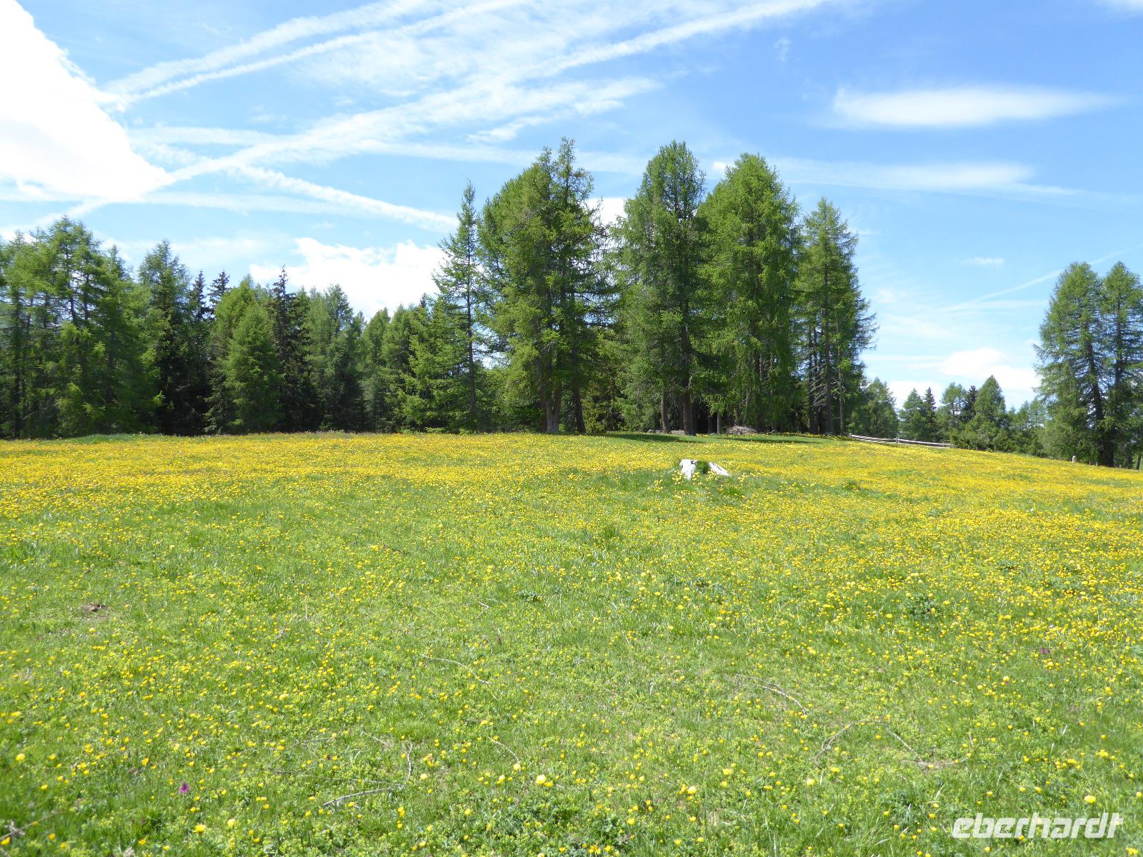 10.06.2017 Seiser Alm &ndash; &copy; Jutta Petzold-Herrmann (Eberhardt TRAVEL)