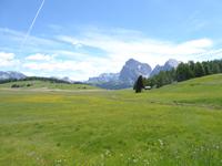 10.06.2017 Seiser Alm &ndash; &copy; Jutta Petzold-Herrmann (Eberhardt TRAVEL)