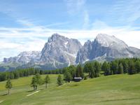 10.06.2016 Seiser Alm &ndash; &copy; Jutta Petzold-Herrmann (Eberhardt TRAVEL)