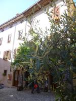 Gardasee Malcesine  &ndash; &copy; Grit Wendelberger (Eberhardt TRAVEL)