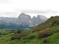 Seiser Alm &ndash; &copy; Petra Sauer (Eberhardt TRAVEL)