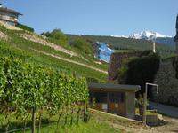 Weinführung im Kloster Neustift