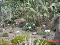 Botanischer Garten Meran &ndash; &copy; Katrin Deutschbein (Eberhardt TRAVEL)