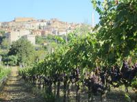 Blick auf die Altstadt von Chianciano Terme &ndash; &copy; Gisela Gerlach (Eberhardt TRAVEL)