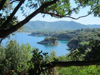 Elba &ndash; &copy; Gisela Gerlach (Eberhardt TRAVEL)