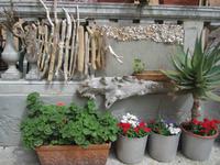 IMG_6856 &ndash; &copy; Gisela Gerlach (Eberhardt TRAVEL)